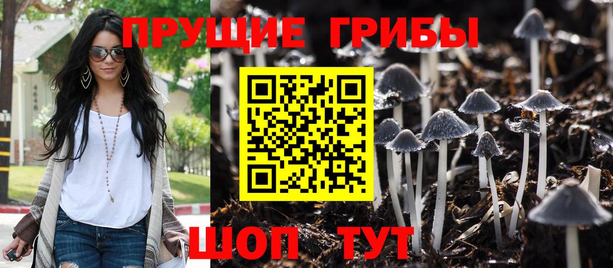 Галлюциногенные грибы мицелий  Галлюциногенные грибы Psilocybe  Щёлково  Вход с VPN 